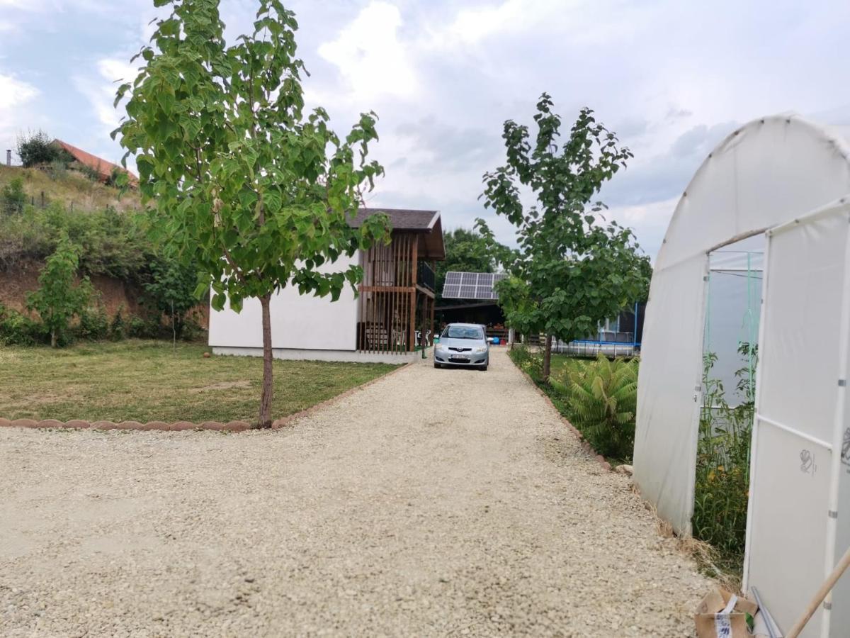 Cabana Oprisor Ocna Sibiului Esterno foto