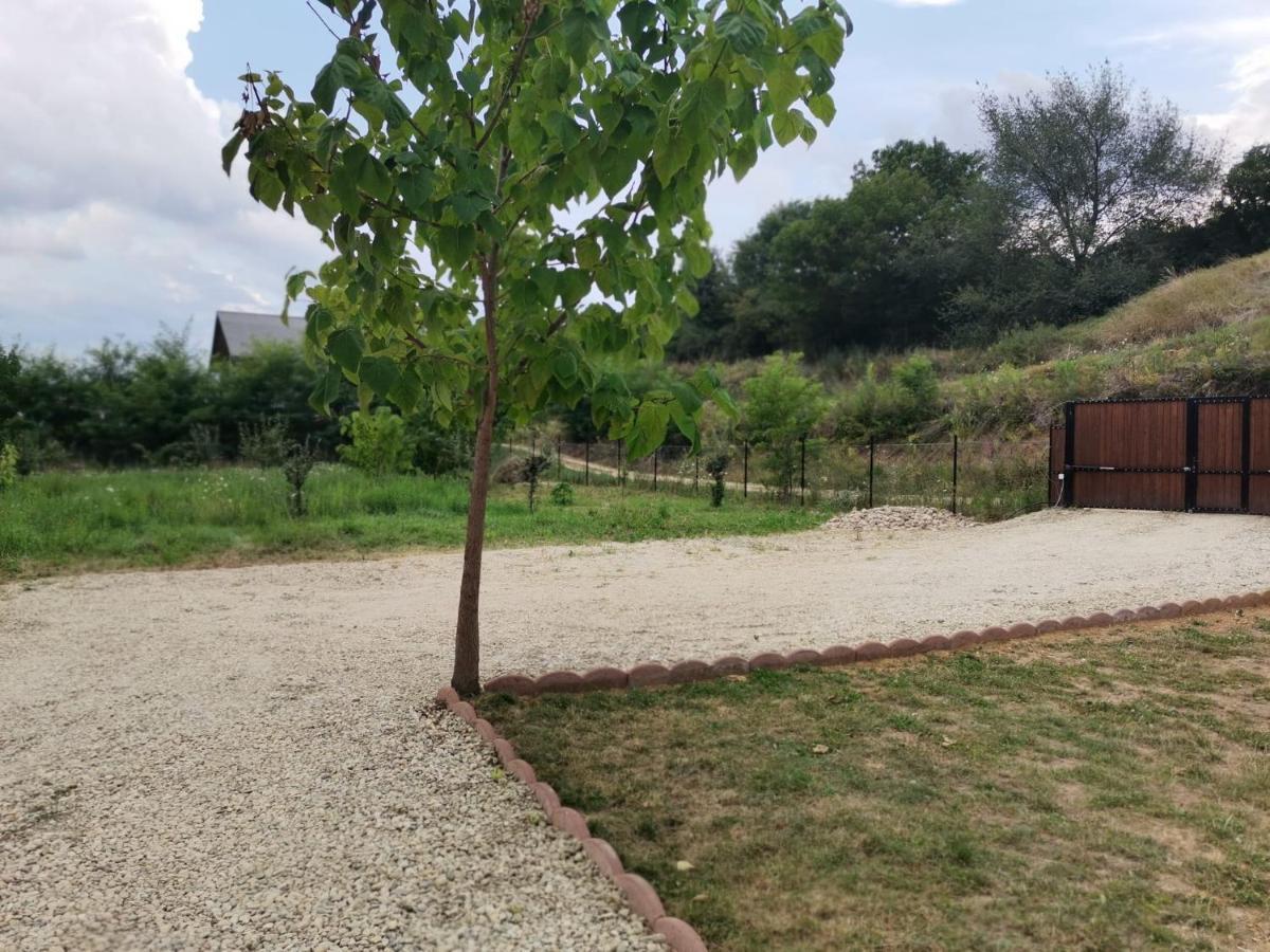 Cabana Oprisor Ocna Sibiului Esterno foto